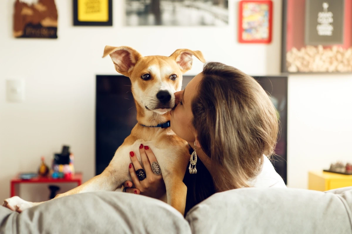 Quer saber o que fazer para relaxar a mente? Comece reservando mais tempo para atividades que te trazem prazer. Ter um animalzinho por perto pode ajudar e muito! Converse com amigos e tente ficar sem fazer nada, apenas curtindo o dia juntos.